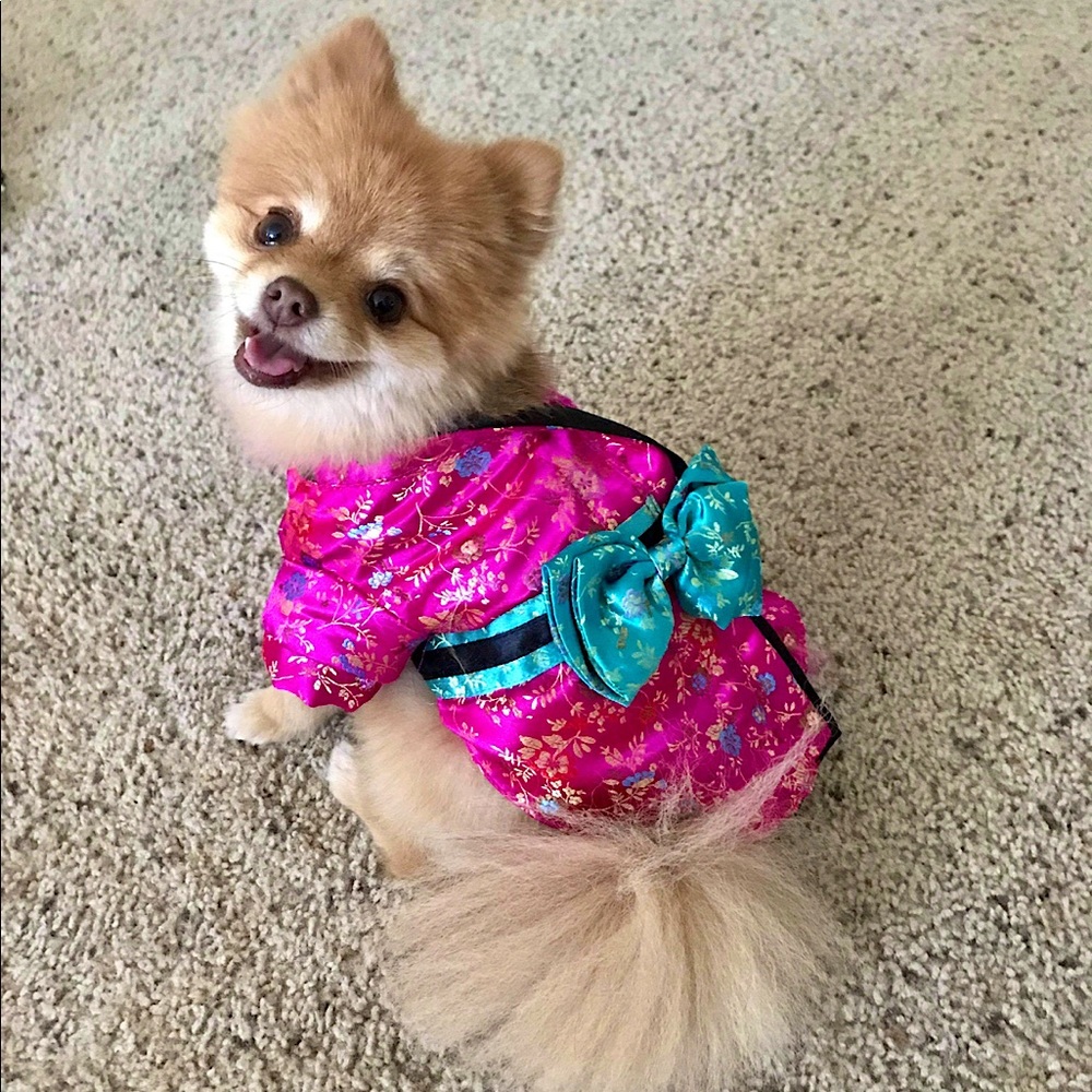 Kimono Costume for Small Dog